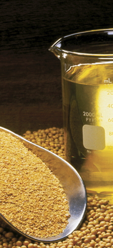 Soybean oil